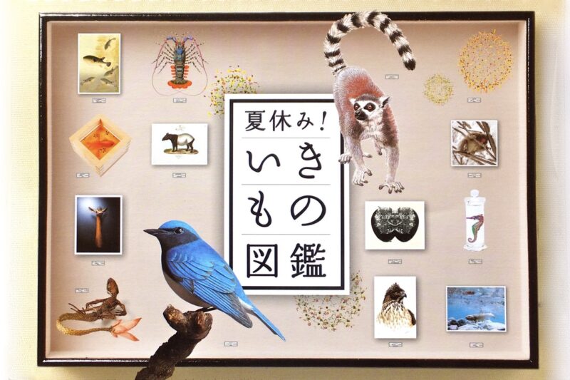 各地の企画展に出陳