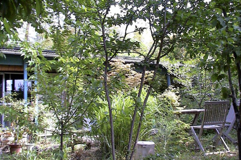 下佐野工房の森ー庭