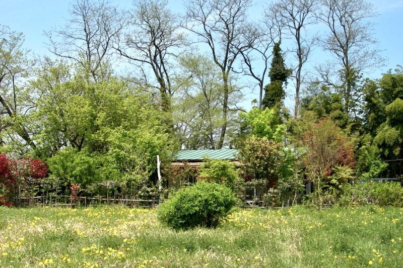 下佐野工房の森ー春