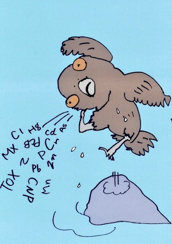 TBTM-カワガラス