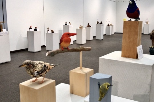 '17.11-TCG・第２-絶滅危惧種展