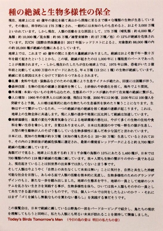 '17.11-TCG・第２-絶滅危惧種展・パネル／２