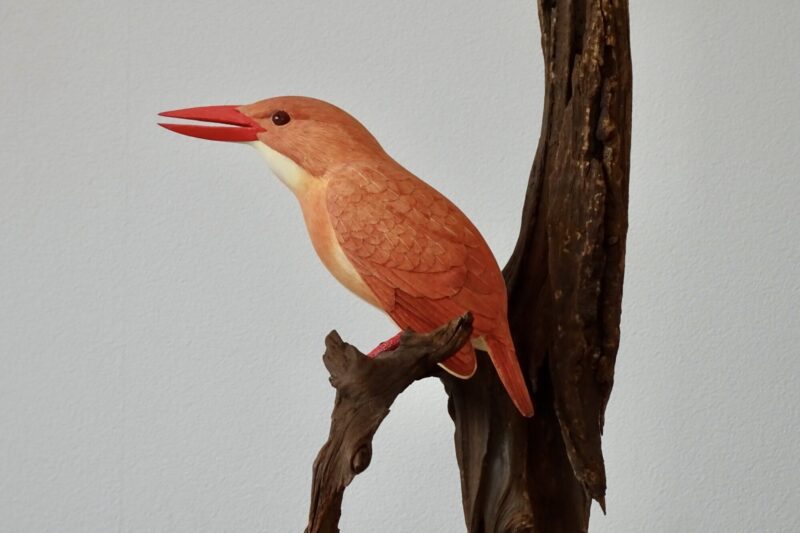 アカショウビン