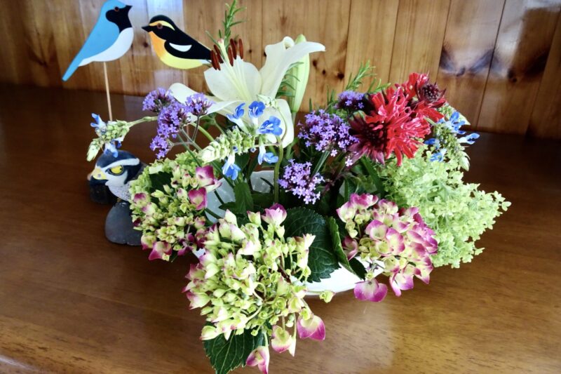 庭の花盛り合わせ