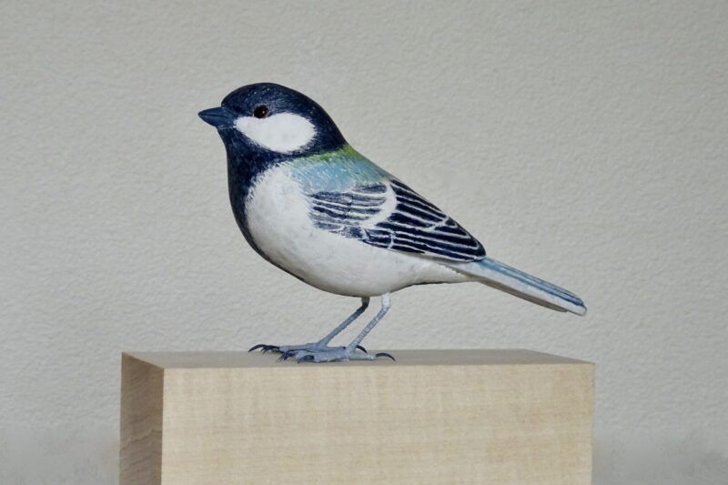 シジュウカラ・山口