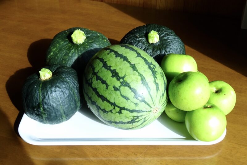'26夏野菜収穫